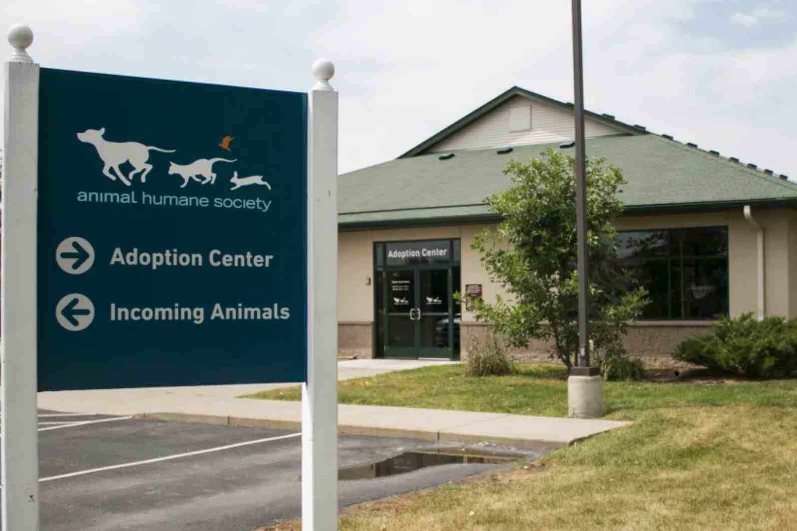 animal humane society golden valley adoption