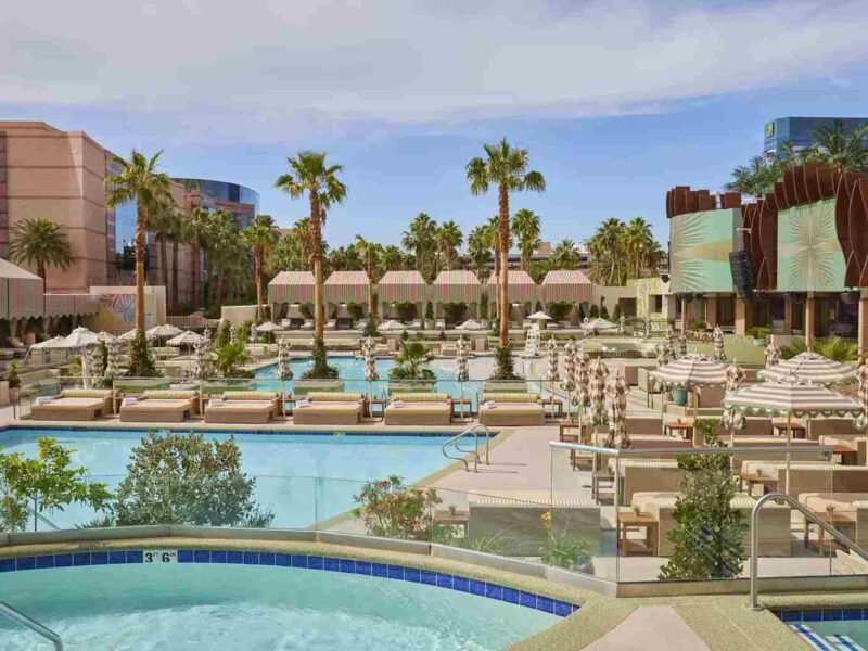 palm tree beach club las vegas